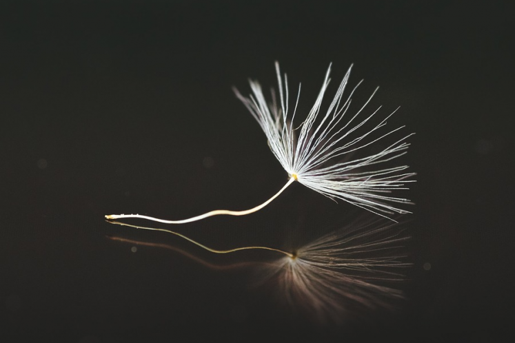 中融新大重整啟示錄：一場“信用隔離手術(shù)”背后的產(chǎn)業(yè)拯救邏輯